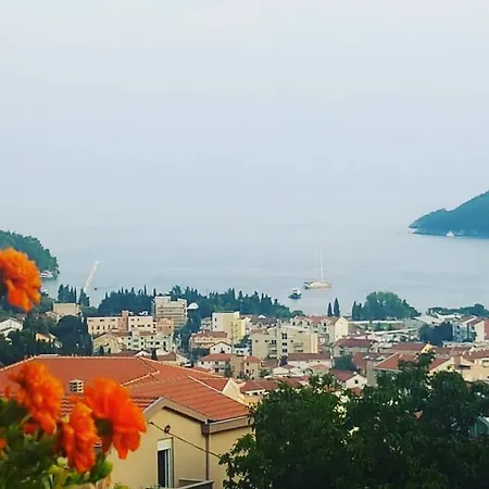 Georgijevic & *